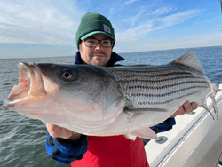 Striped Bass, Cape Cod 2022